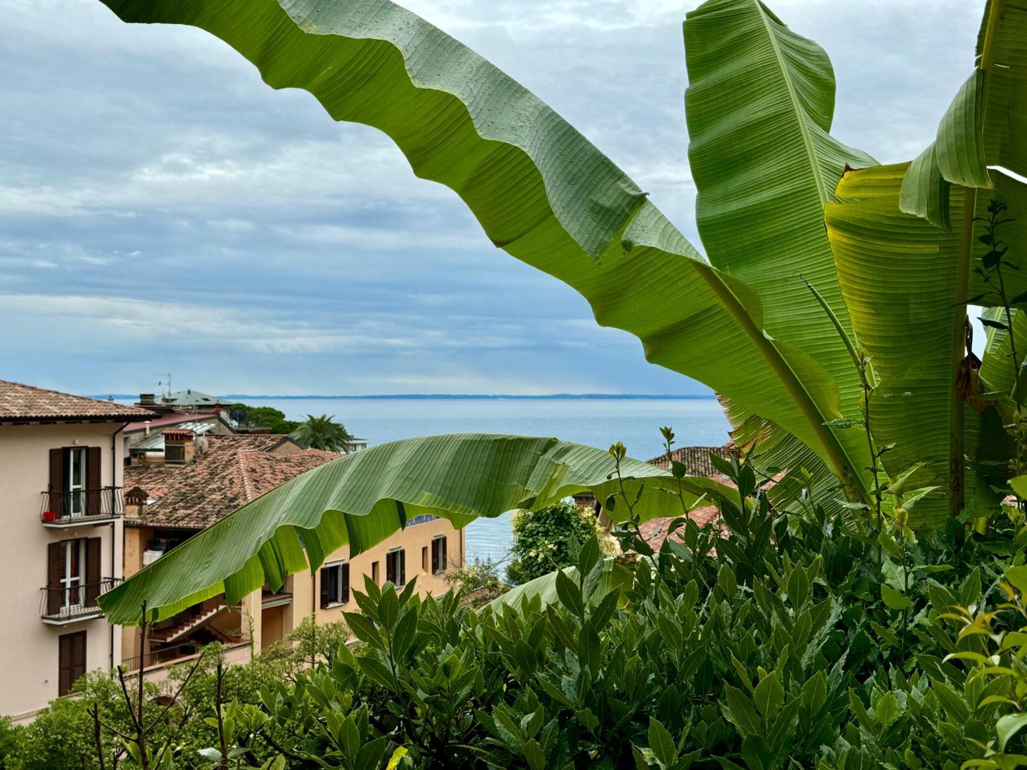 Casa Dolce Vita, Seeblick ตอสโกลาโน มาแดร์โน ภายนอก รูปภาพ